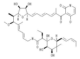 Aurodox