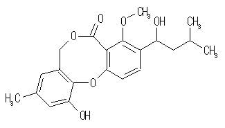 Penicillide