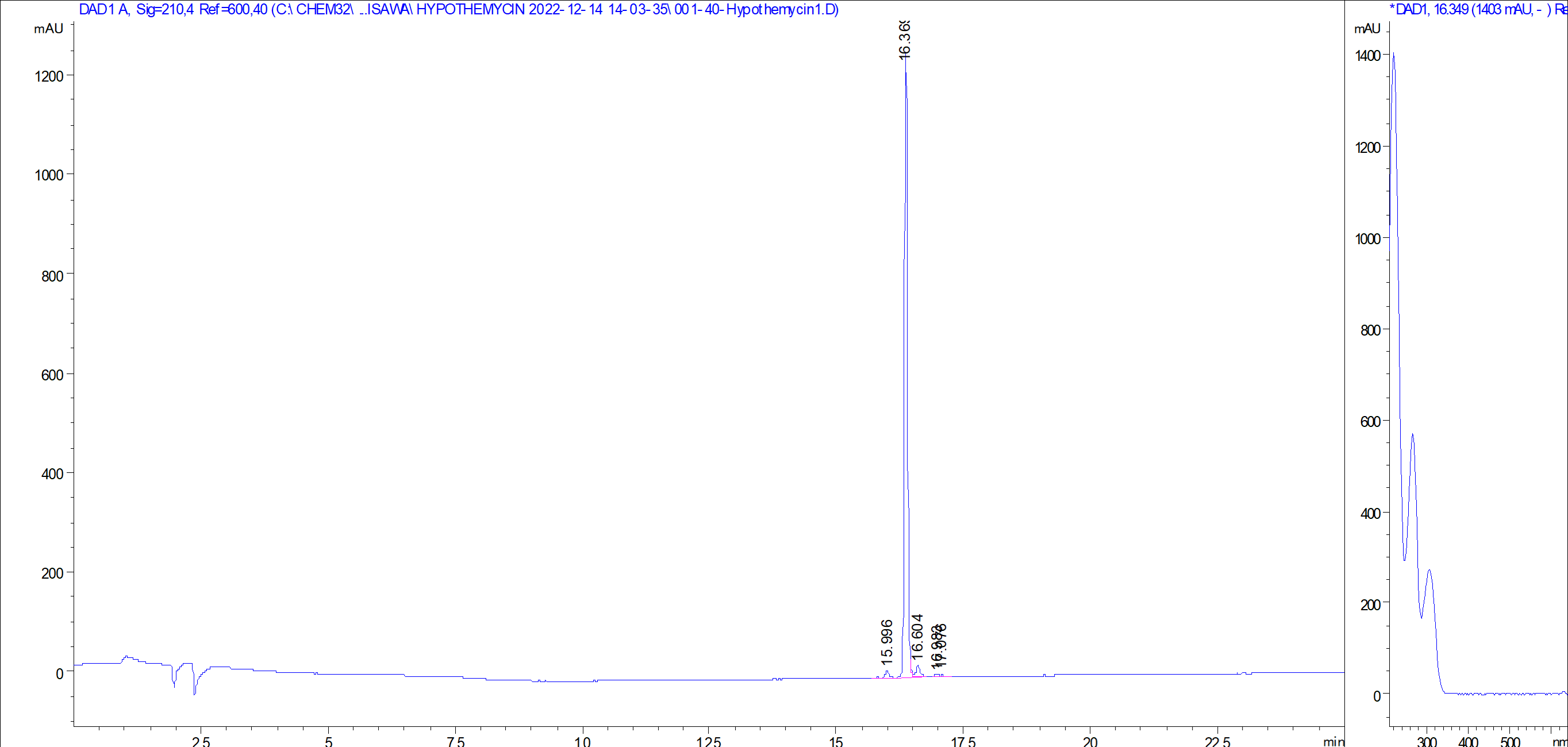 Hypothemycin LC/UV chromatogram